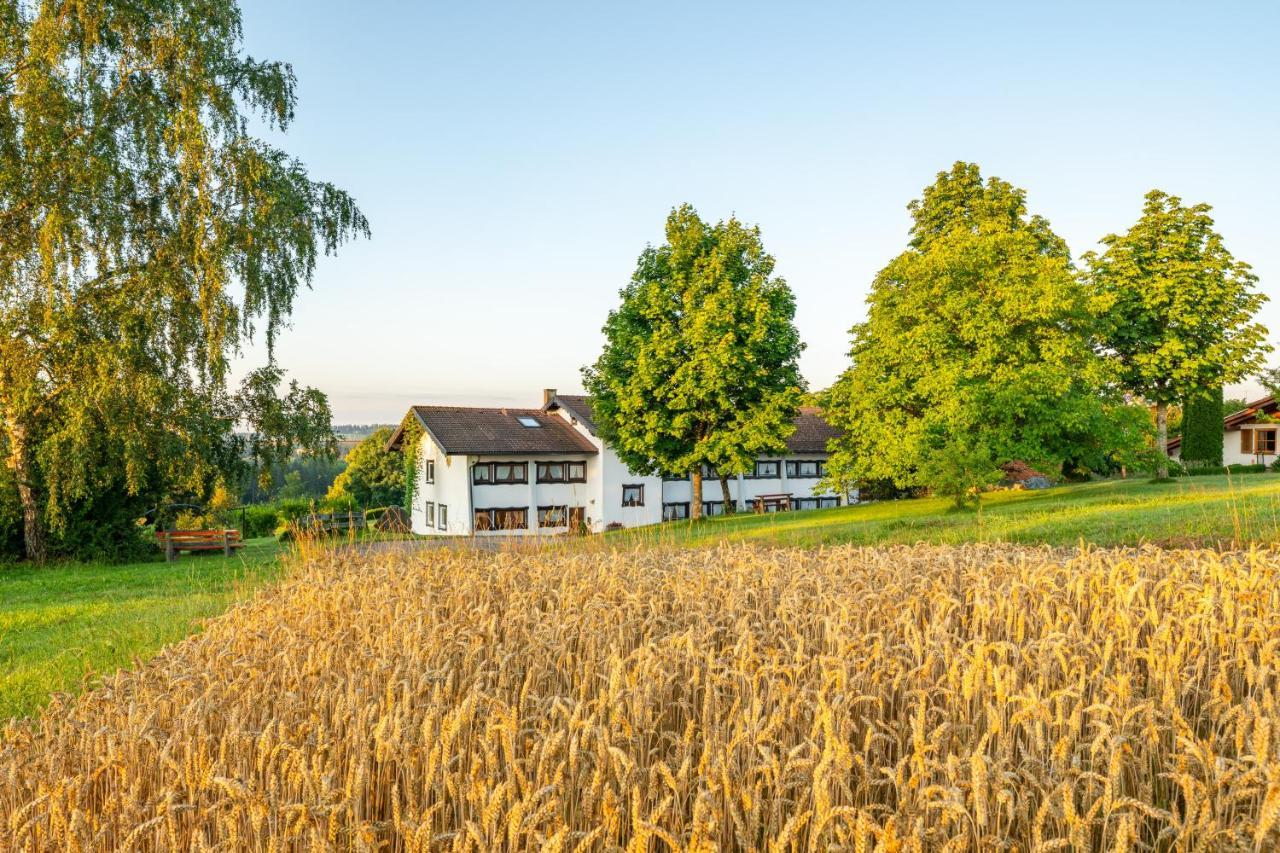 פרוידנשטאדט Landgasthaus Sonne מראה חיצוני תמונה