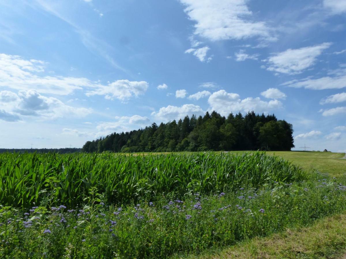 פרוידנשטאדט Landgasthaus Sonne מראה חיצוני תמונה